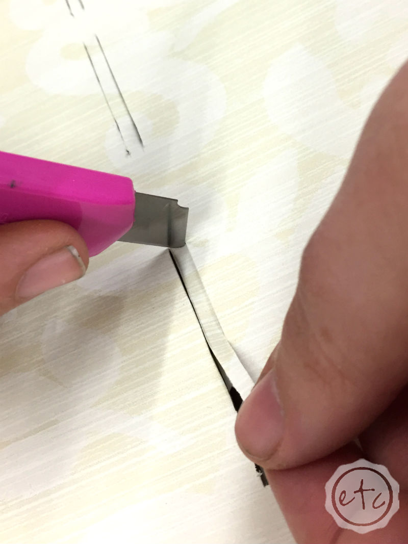 How to Customize a Cardboard Animal Head with Happily Ever After, Etc.