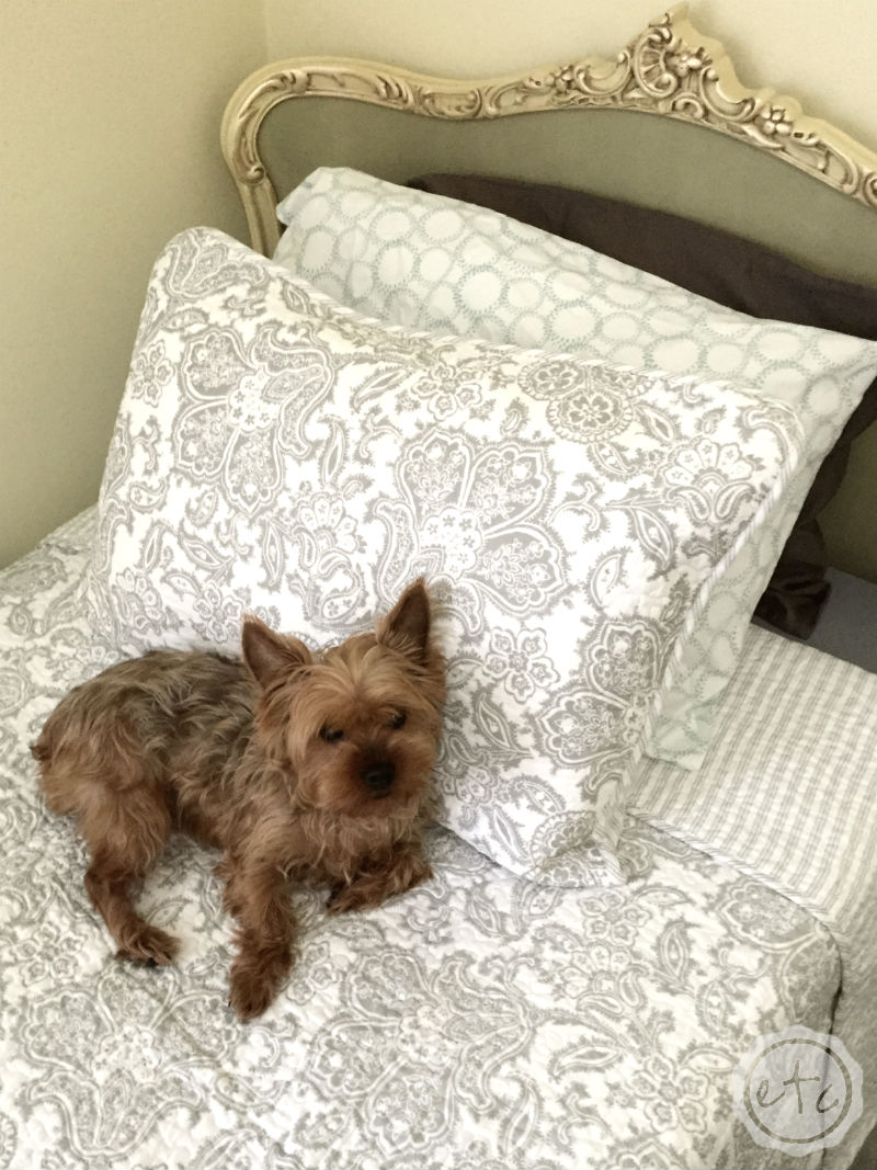 How to Pick the Perfect Bedding with Happily Ever After, Etc.