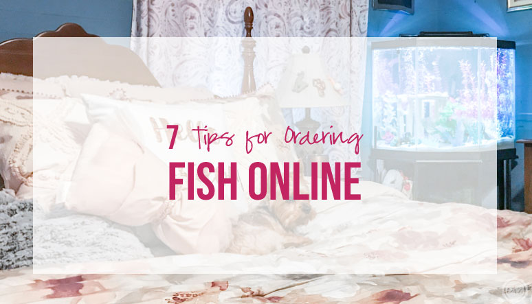 7 Tips for Ordering Fish Online