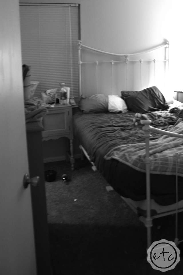 The Messiest House... EVER! Happily Ever After, Etc.
