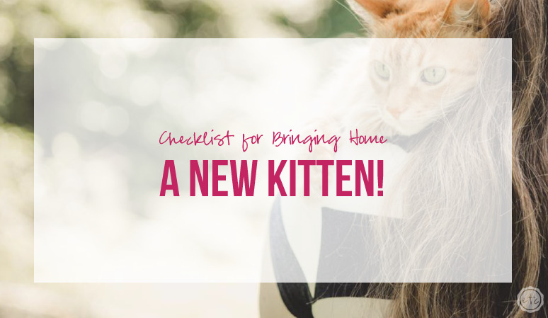 Checklist for Bringing Home a New Kitten