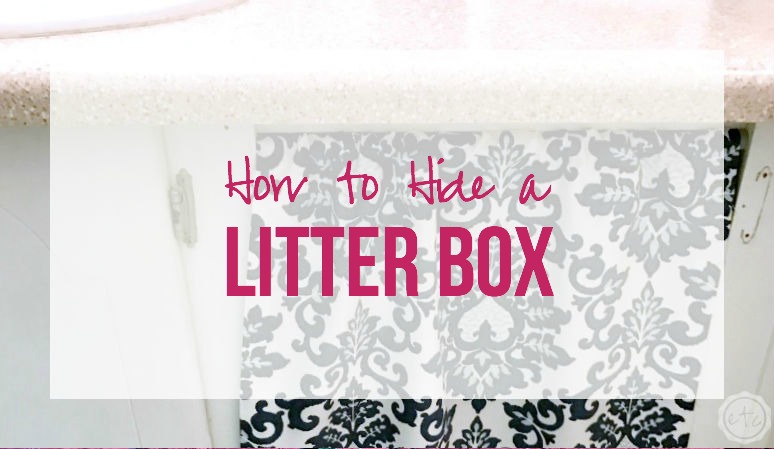 How to Hide a Litter Box