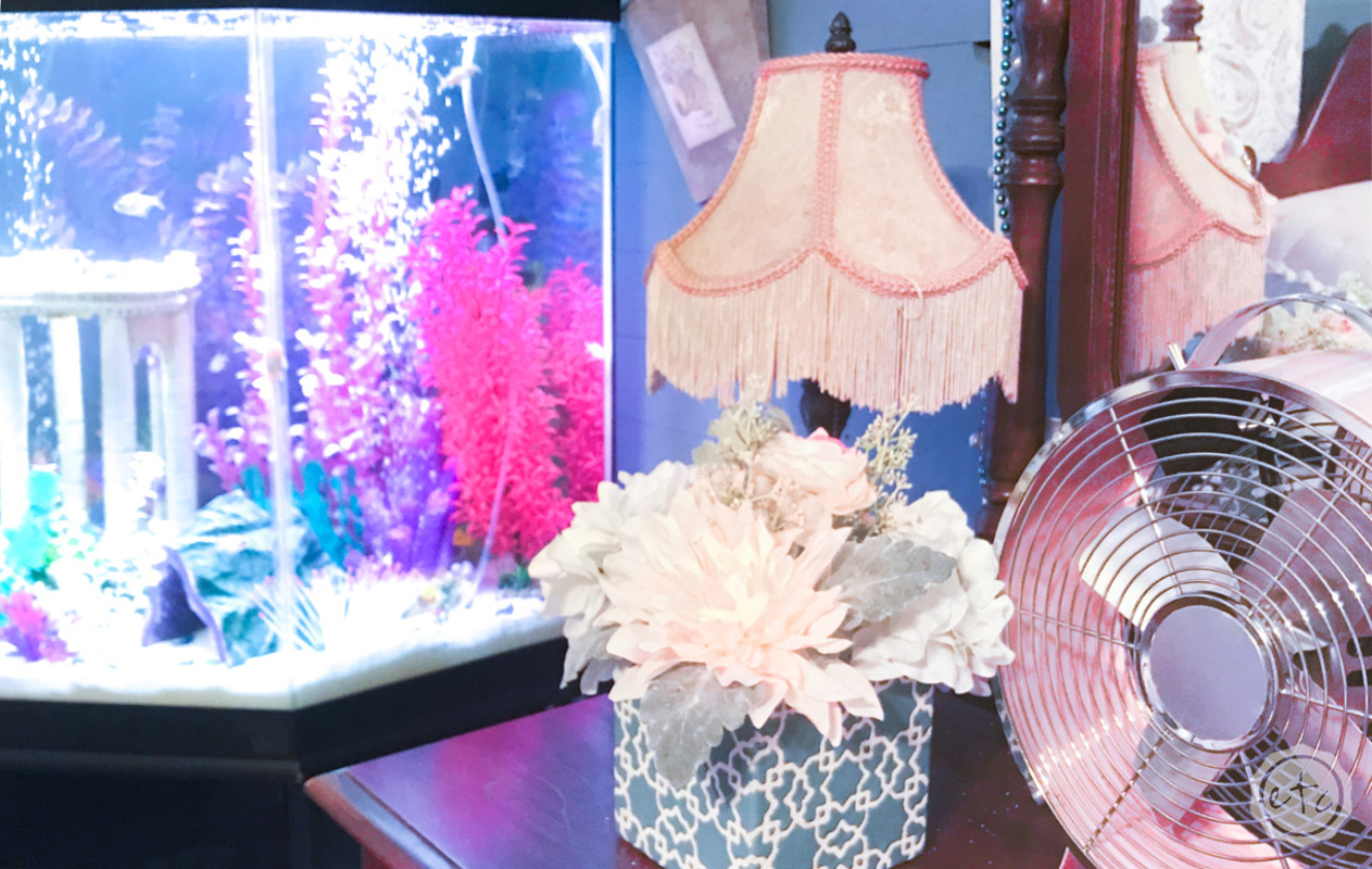 20 Gallon Fish Tank with fish