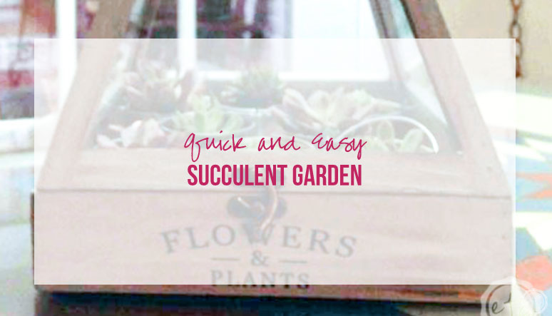 Quick and Easy Succulent Garden