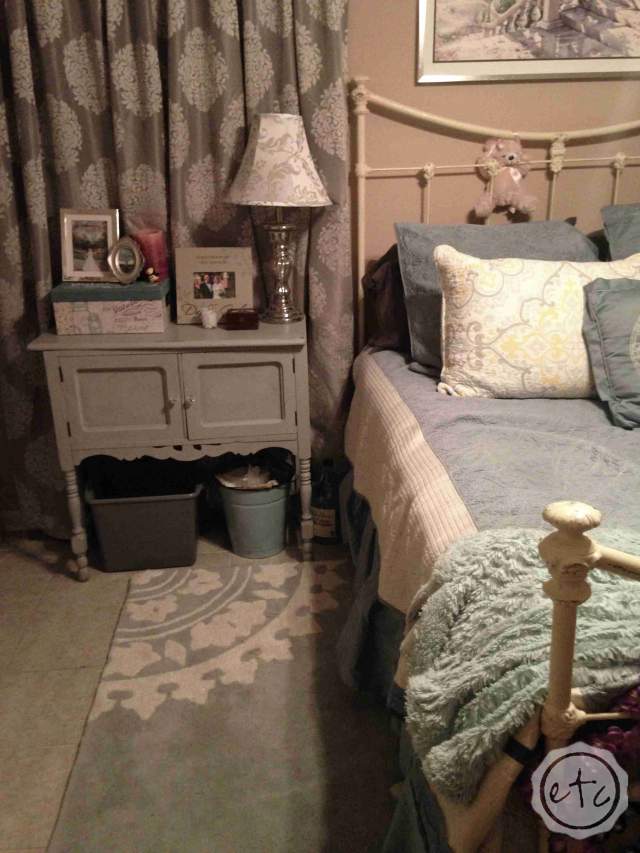 Why my BRAND NEW Safavieh Rug Cost $250 dollars in Cleaning Fees!