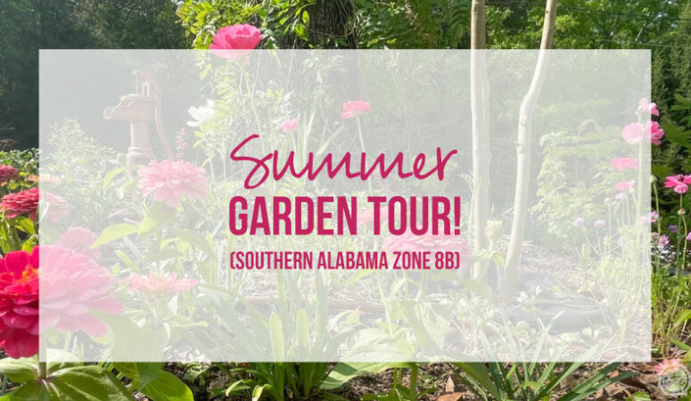 Summer Garden Tour Southern Alabama (Zone 8b)